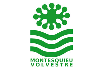 Montesquieu Volvestre